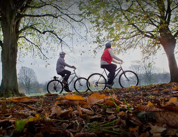 People on bikes in the woods.